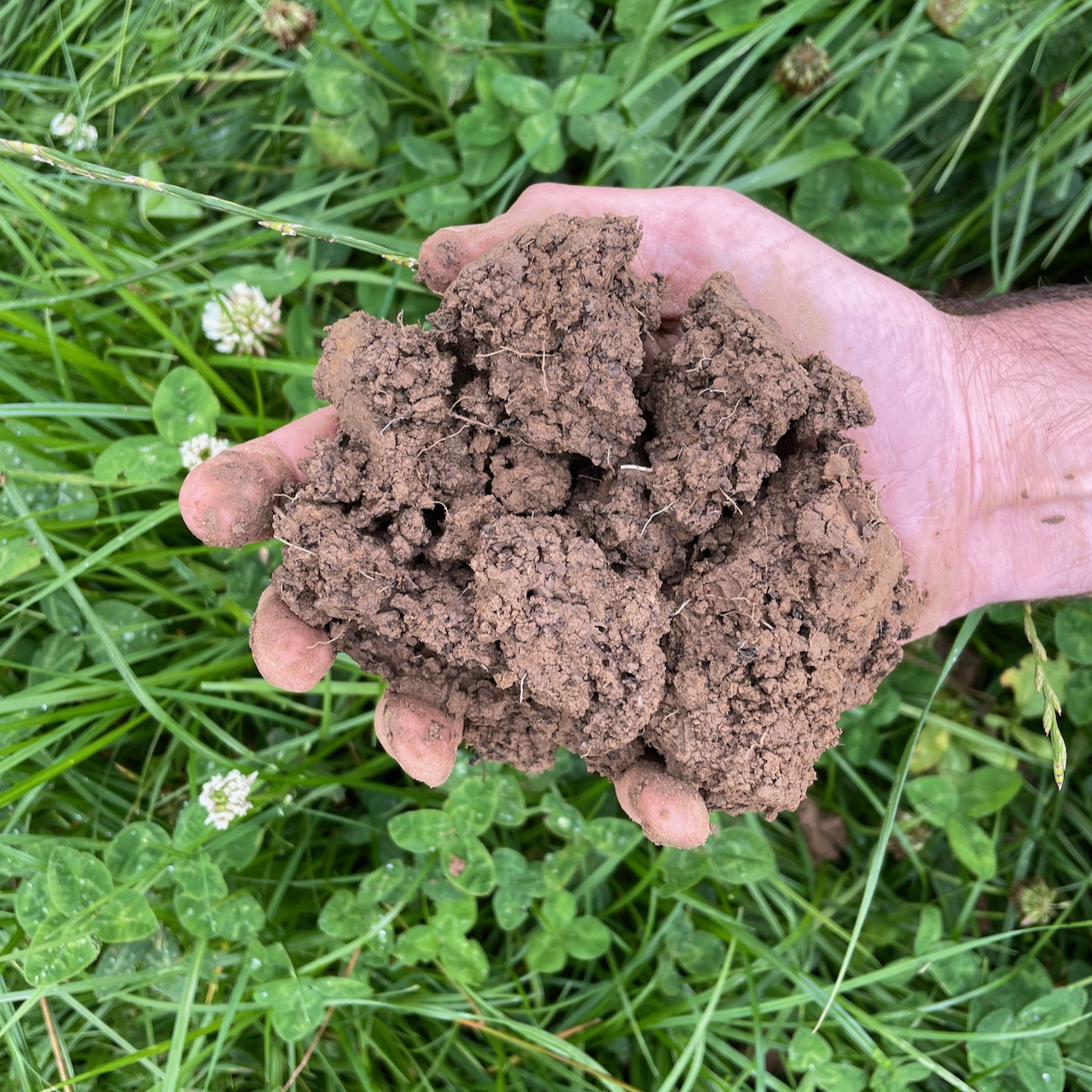 Farmland Management in Belgium